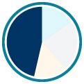 Cybersecurity pie chart